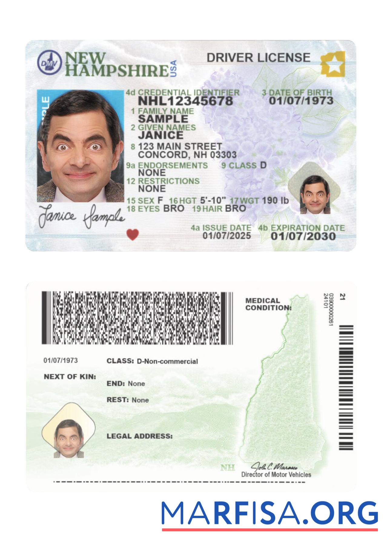 Blank USA New Hampshire driving license 2025 present example